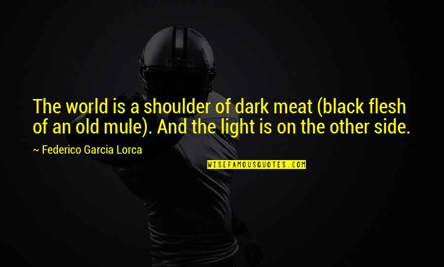 Lorca's Quotes By Federico Garcia Lorca: The world is a shoulder of dark meat