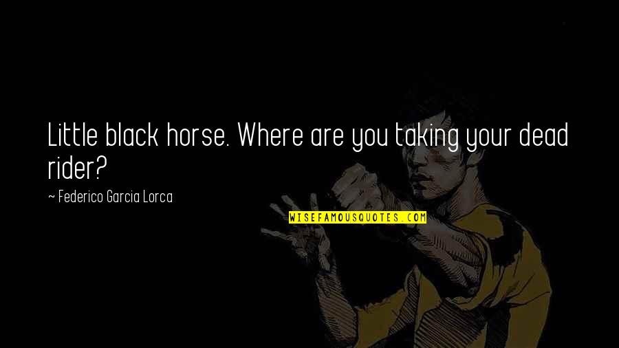 Lorca's Quotes By Federico Garcia Lorca: Little black horse. Where are you taking your