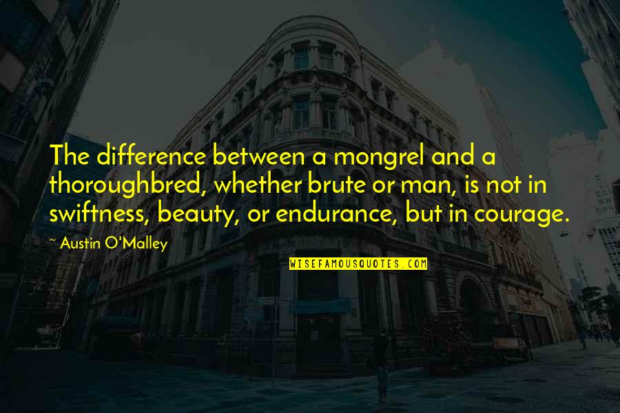 Lord Beveridge Quotes By Austin O'Malley: The difference between a mongrel and a thoroughbred,