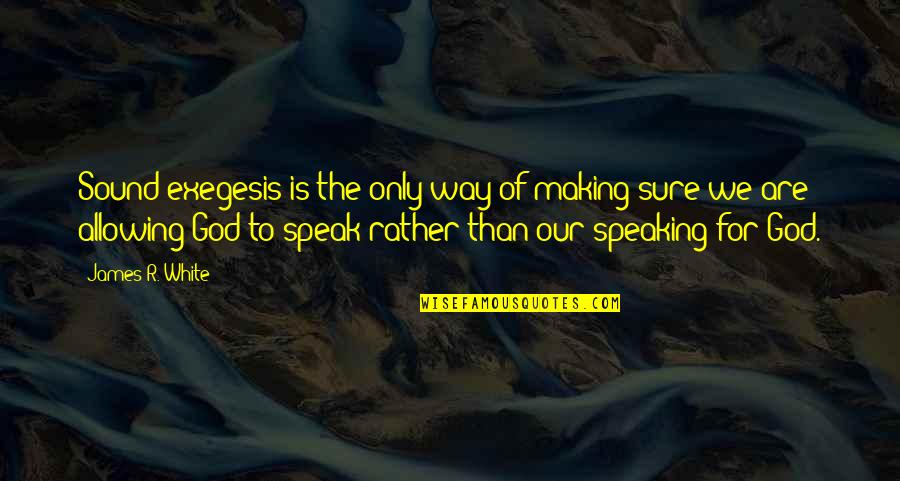 Lord Brocktree Quotes By James R. White: Sound exegesis is the only way of making Lord Brocktree Quotes By James R. White: Sound exegesis is the only way of making