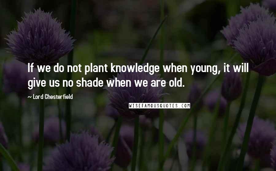 Lord Chesterfield quotes: If we do not plant knowledge when young, it will give us no shade when we are old.