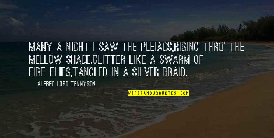 Lord Flies Quotes By Alfred Lord Tennyson: Many a night I saw the Pleiads,Rising thro'