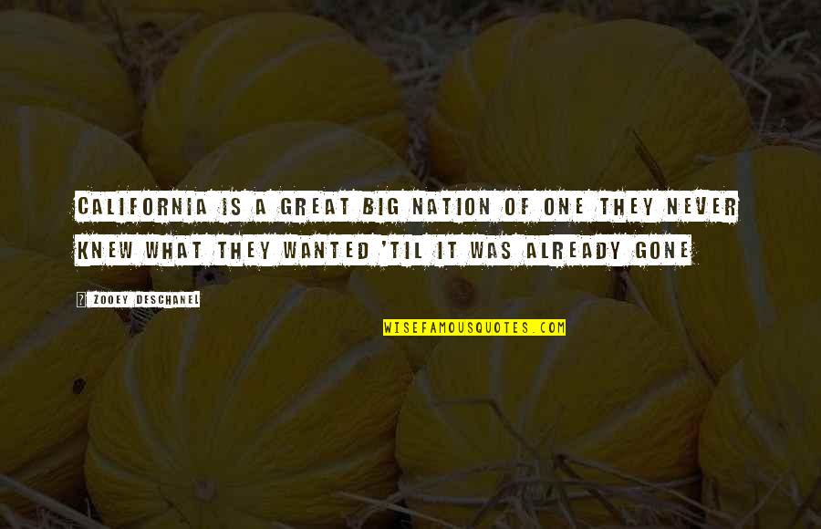 Lord Give Me More Patience Quotes By Zooey Deschanel: California is a great big nation of one