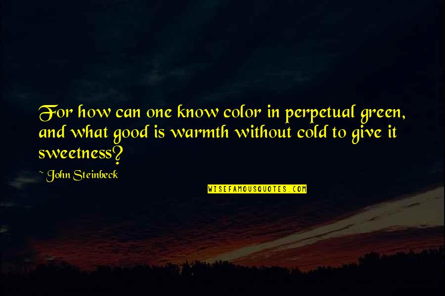 Lord Of The Flies Ralph Leader Quotes By John Steinbeck: For how can one know color in perpetual Lord Of The Flies Ralph Leader Quotes By John Steinbeck: For how can one know color in perpetual