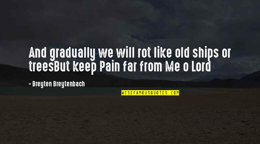 Lord Pain Quotes By Breyten Breytenbach: And gradually we will rot like old ships
