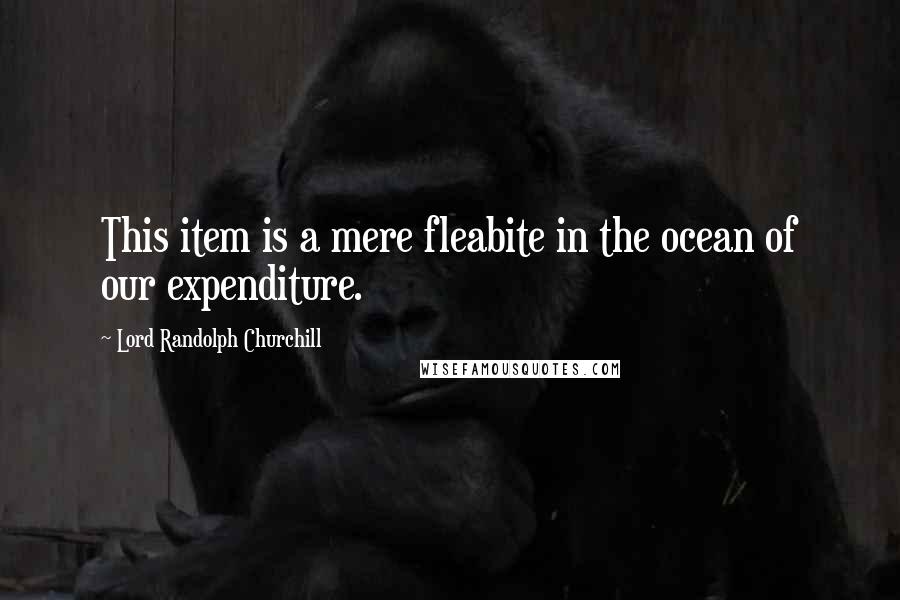 Lord Randolph Churchill quotes: This item is a mere fleabite in the ocean of our expenditure.