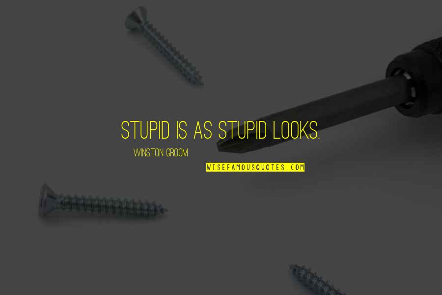 Lord Uxbridge Quotes By Winston Groom: Stupid is as stupid looks.