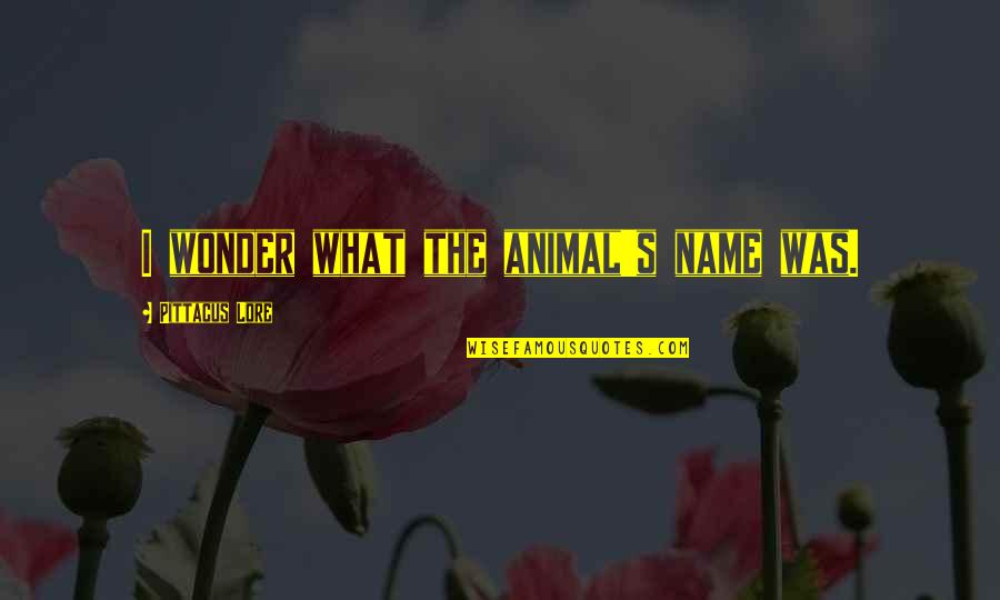 Lore Quotes By Pittacus Lore: I wonder what the animal's name was.