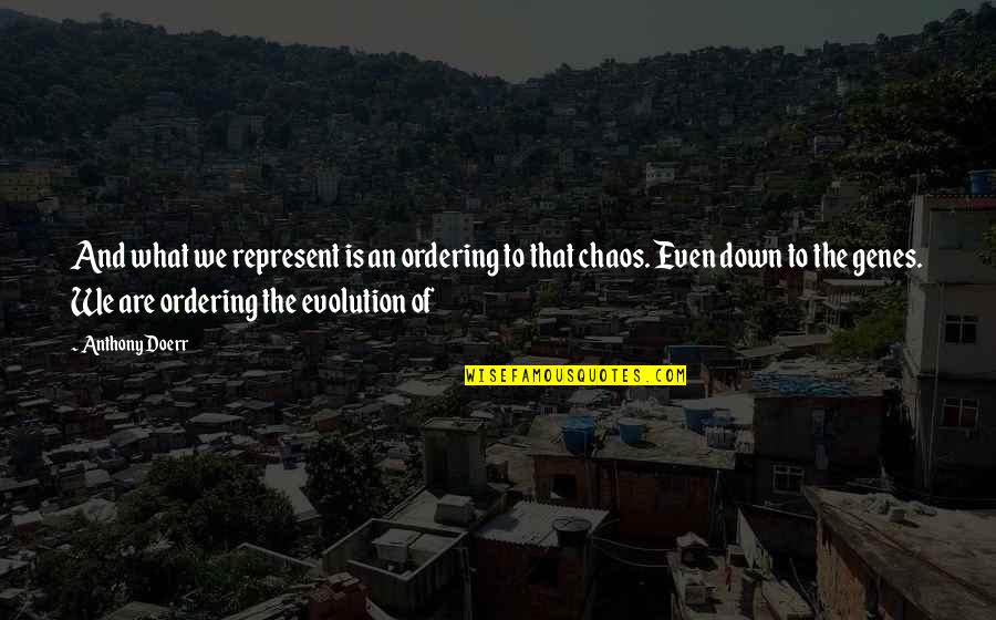 Lorelai And Max Quotes By Anthony Doerr: And what we represent is an ordering to Lorelai And Max Quotes By Anthony Doerr: And what we represent is an ordering to
