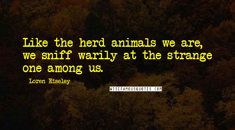 Loren Eiseley quotes: Like the herd animals we are, we sniff warily at the strange one among us.