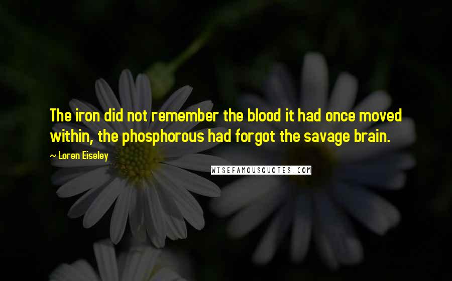 Loren Eiseley quotes: The iron did not remember the blood it had once moved within, the phosphorous had forgot the savage brain.