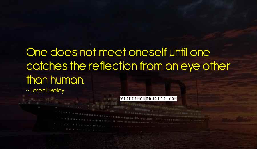 Loren Eiseley quotes: One does not meet oneself until one catches the reflection from an eye other than human.