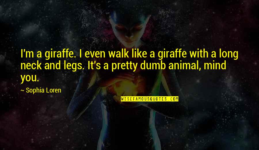 Loren Sophia Quotes By Sophia Loren: I'm a giraffe. I even walk like a Loren Sophia Quotes By Sophia Loren: I'm a giraffe. I even walk like a