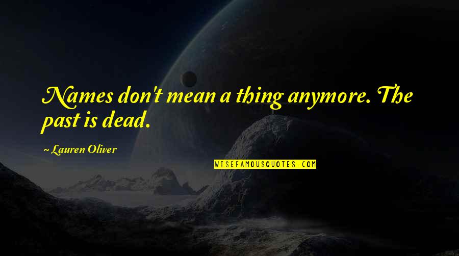 Lorenna Webcam Quotes By Lauren Oliver: Names don't mean a thing anymore. The past