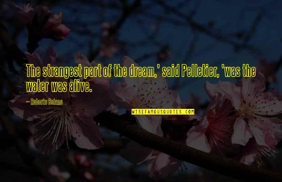 Lorenzana Mangosteen Quotes By Roberto Bolano: The strangest part of the dream,' said Pelletier,