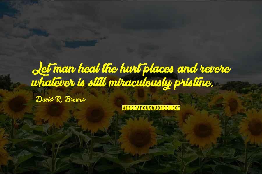 Lorgnette Quotes By David R. Brower: Let man heal the hurt places and revere