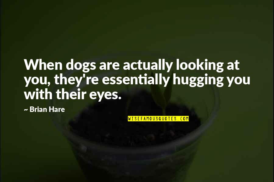 Lorina's Quotes By Brian Hare: When dogs are actually looking at you, they're Lorina's Quotes By Brian Hare: When dogs are actually looking at you, they're