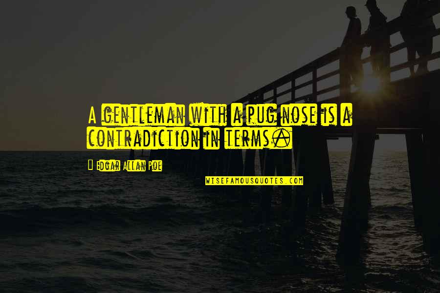 Loris Malaguzzi Quotes By Edgar Allan Poe: A gentleman with a pug nose is a