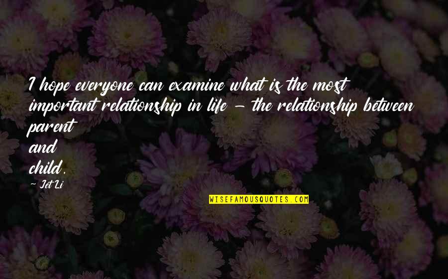 Lorman Quotes By Jet Li: I hope everyone can examine what is the