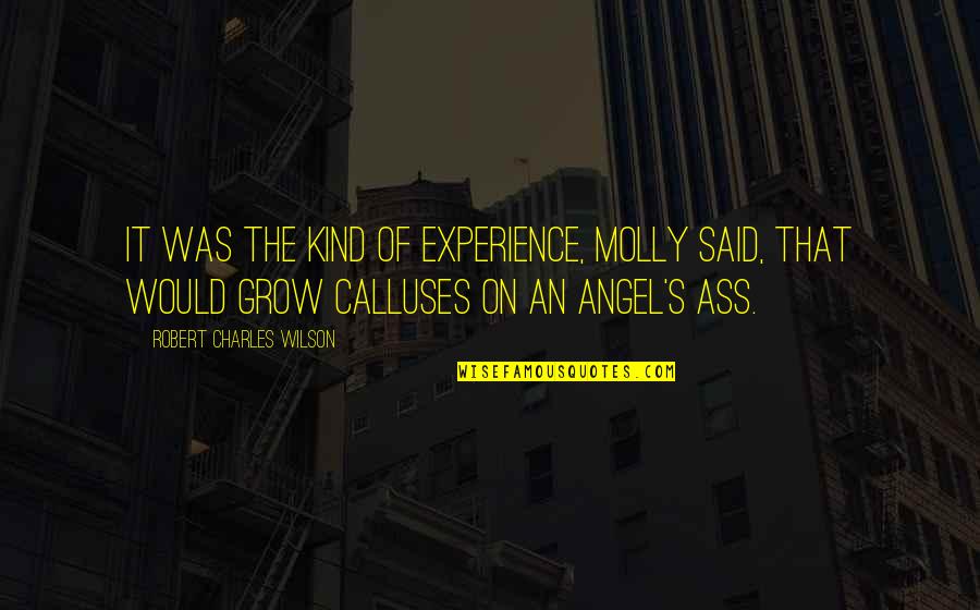 Lorna Jane Fitness Quotes By Robert Charles Wilson: It was the kind of experience, Molly said,