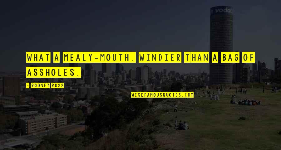 Lornastel Quotes By Rodney Ross: What a mealy-mouth. Windier than a bag of Lornastel Quotes By Rodney Ross: What a mealy-mouth. Windier than a bag of