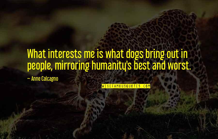 Lorrie Moore Birds Of America Quotes By Anne Calcagno: What interests me is what dogs bring out