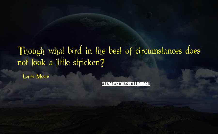 Lorrie Moore quotes: Though what bird in the best of circumstances does not look a little stricken?