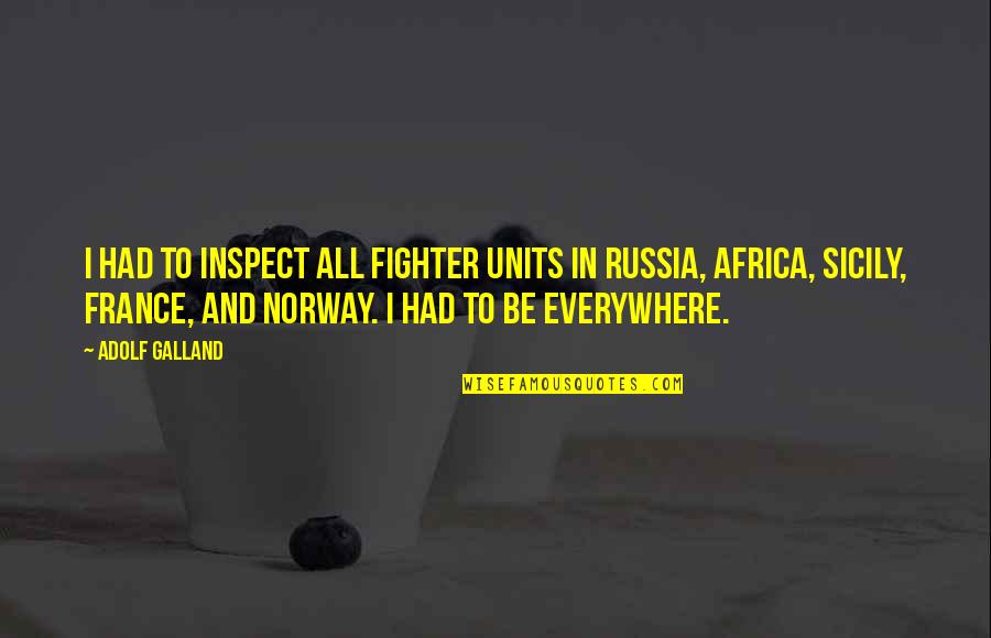 Lortie Apprenticeship Quotes By Adolf Galland: I had to inspect all fighter units in