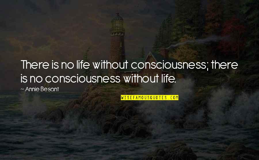 Los Angeles Culture Quotes By Annie Besant: There is no life without consciousness; there is