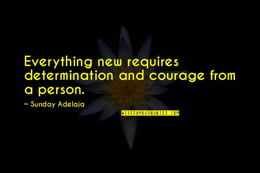 Los Temerarios Quotes By Sunday Adelaja: Everything new requires determination and courage from a