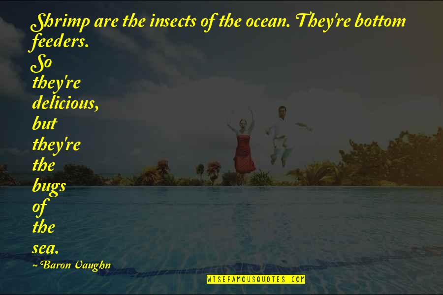 Loscheider Minnesota Quotes By Baron Vaughn: Shrimp are the insects of the ocean. They're Loscheider Minnesota Quotes By Baron Vaughn: Shrimp are the insects of the ocean. They're