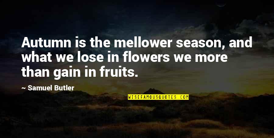 Lose And Gain Quotes By Samuel Butler: Autumn is the mellower season, and what we