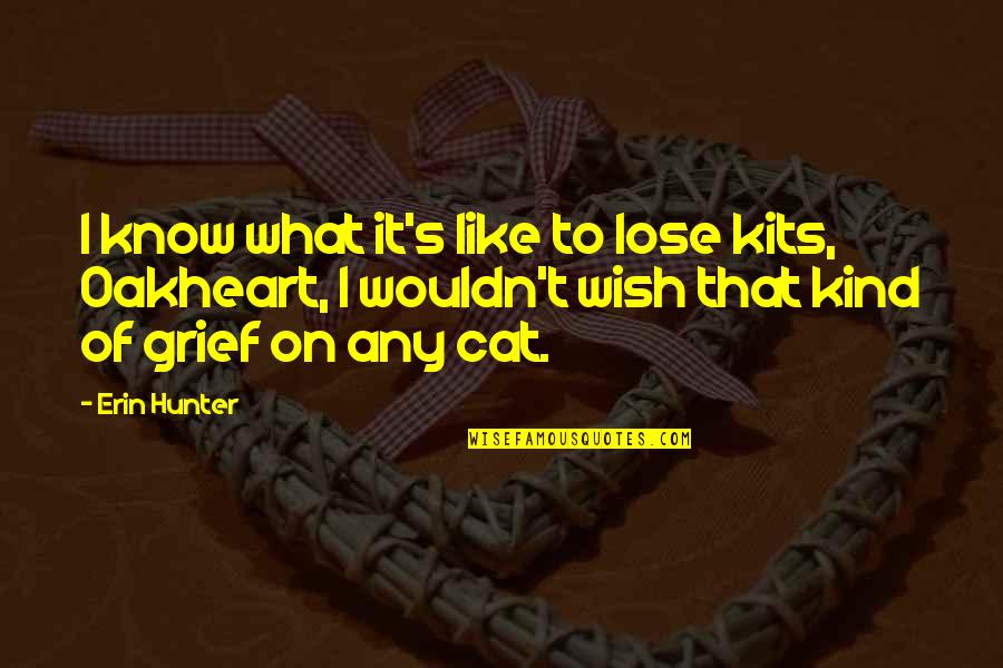 Lose Loss Quotes By Erin Hunter: I know what it's like to lose kits,
