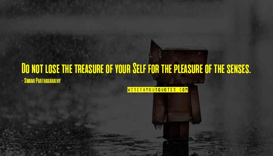 Lose My Senses Quotes By Swami Parthasarathy: Do not lose the treasure of your Self