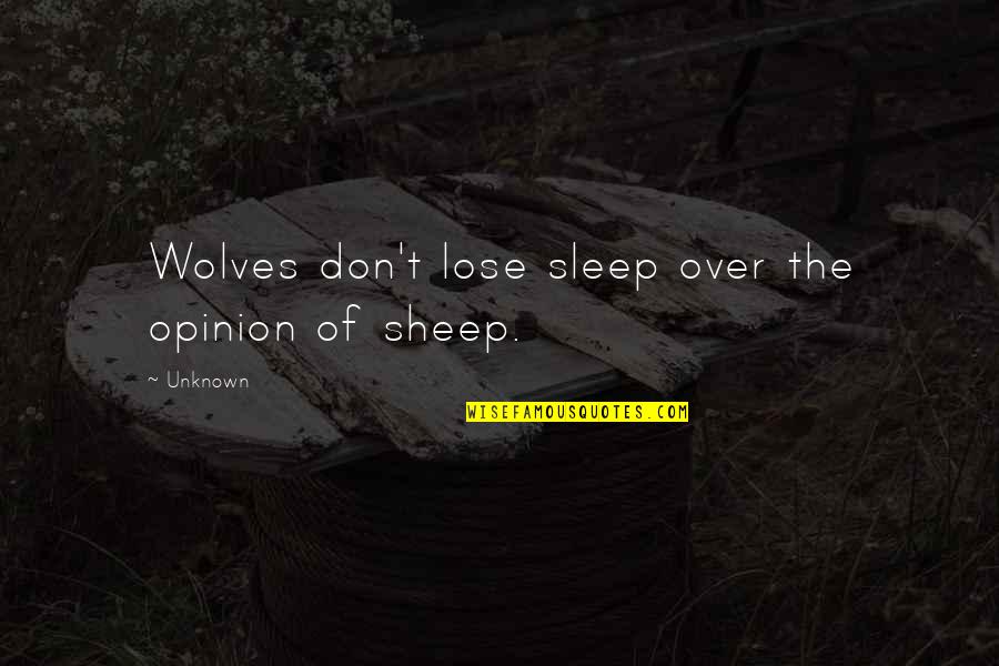 Lose No Sleep Quotes By Unknown: Wolves don't lose sleep over the opinion of
