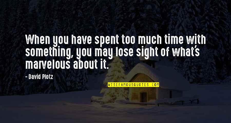 Lose Something Quotes By David Plotz: When you have spent too much time with