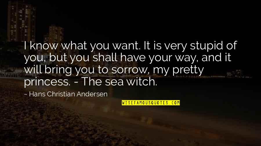 Losing A Great Grandmother Quotes By Hans Christian Andersen: I know what you want. It is very