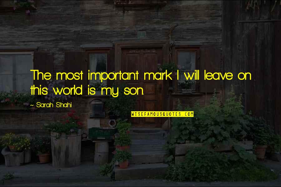 Losing A Younger Brother Quotes By Sarah Shahi: The most important mark I will leave on