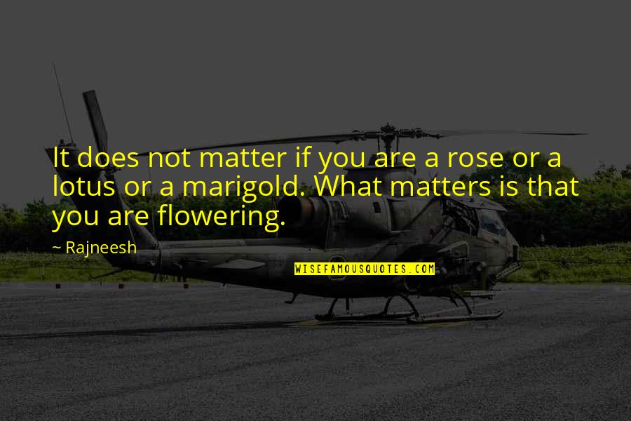 Losing But Not Giving Up Quotes By Rajneesh: It does not matter if you are a Losing But Not Giving Up Quotes By Rajneesh: It does not matter if you are a