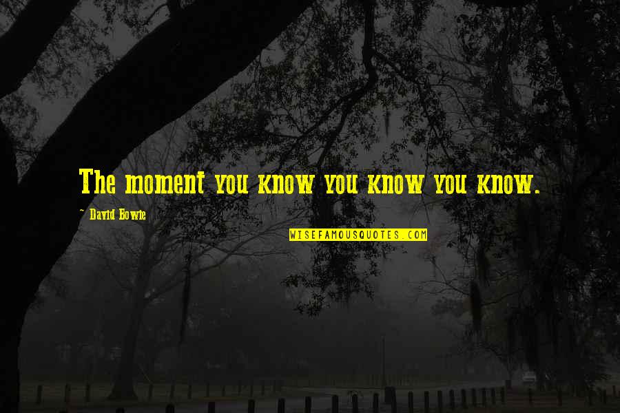 Losing Civil Liberties Quotes By David Bowie: The moment you know you know you know.