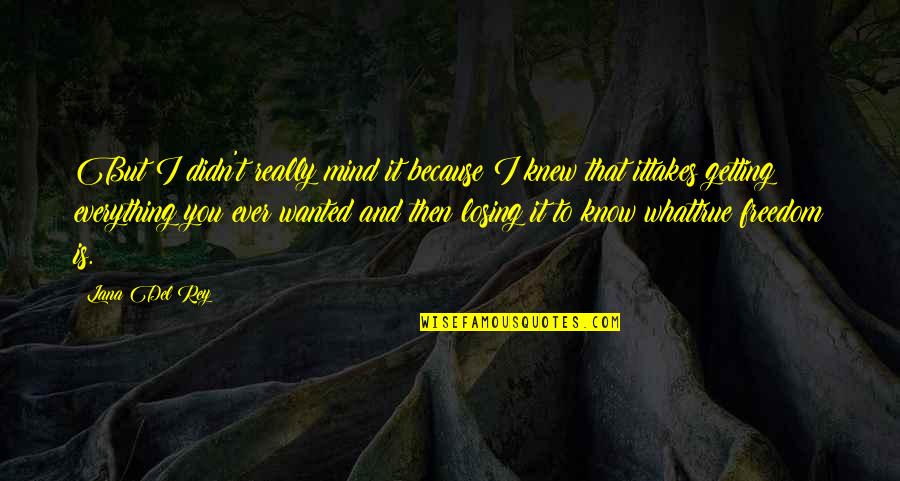 Losing Everything Quotes By Lana Del Rey: But I didn't really mind it because I
