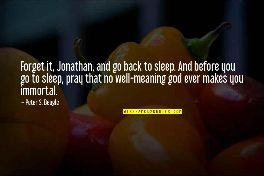 Losing Gaining Something Quotes By Peter S. Beagle: Forget it, Jonathan, and go back to sleep.