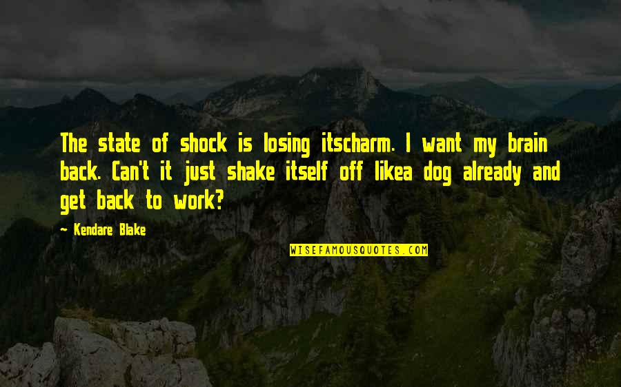 Losing My Dog Quotes By Kendare Blake: The state of shock is losing itscharm. I