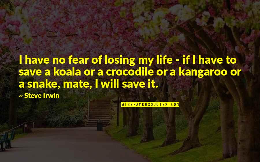 Losing My Life Quotes By Steve Irwin: I have no fear of losing my life Losing My Life Quotes By Steve Irwin: I have no fear of losing my life