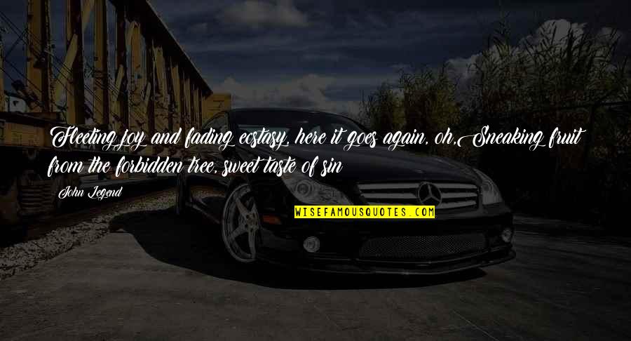 Losing Someone You Love To Another Person Quotes By John Legend: Fleeting joy and fading ecstasy, here it goes