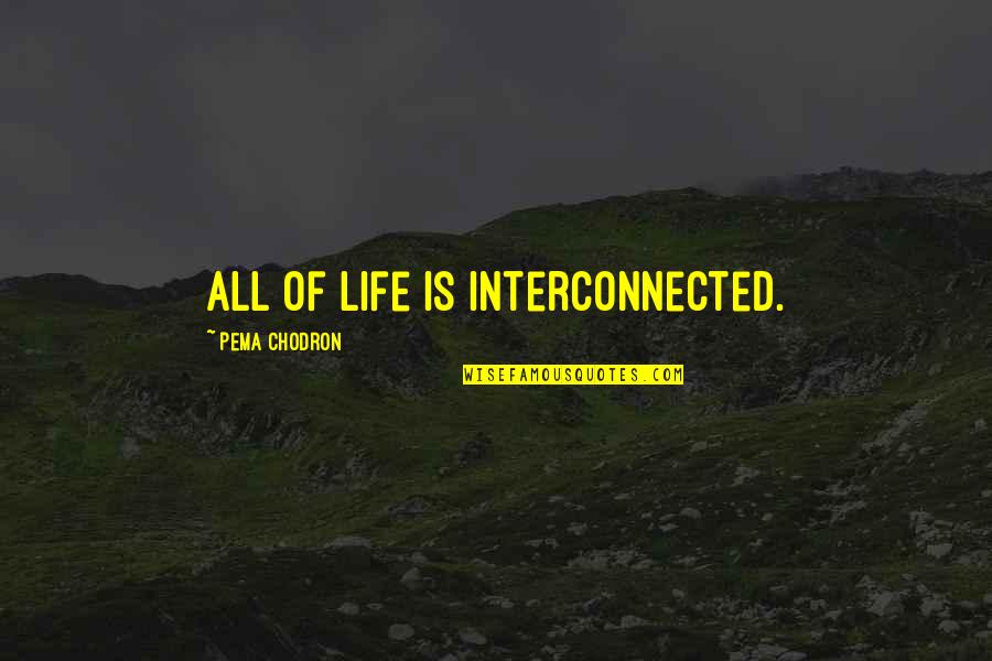 Losing Something And Finding Something Better Quotes By Pema Chodron: All of life is interconnected. Losing Something And Finding Something Better Quotes By Pema Chodron: All of life is interconnected.