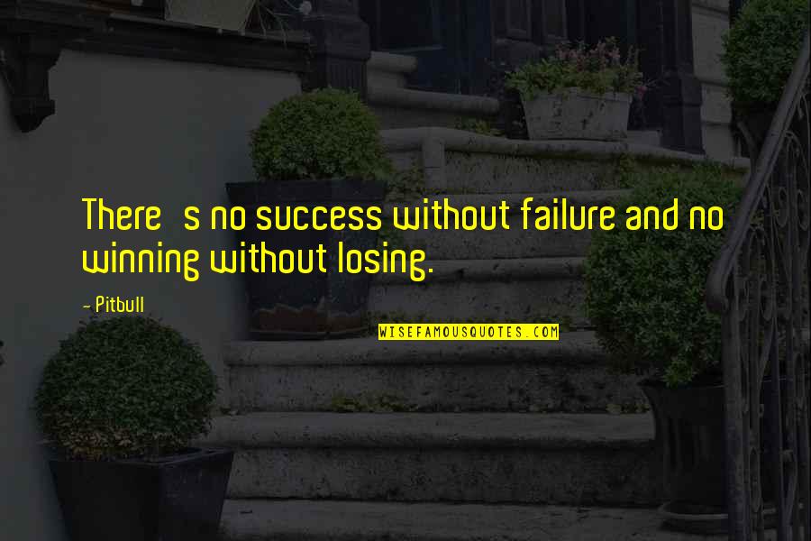 Losing Winning Quotes By Pitbull: There's no success without failure and no winning