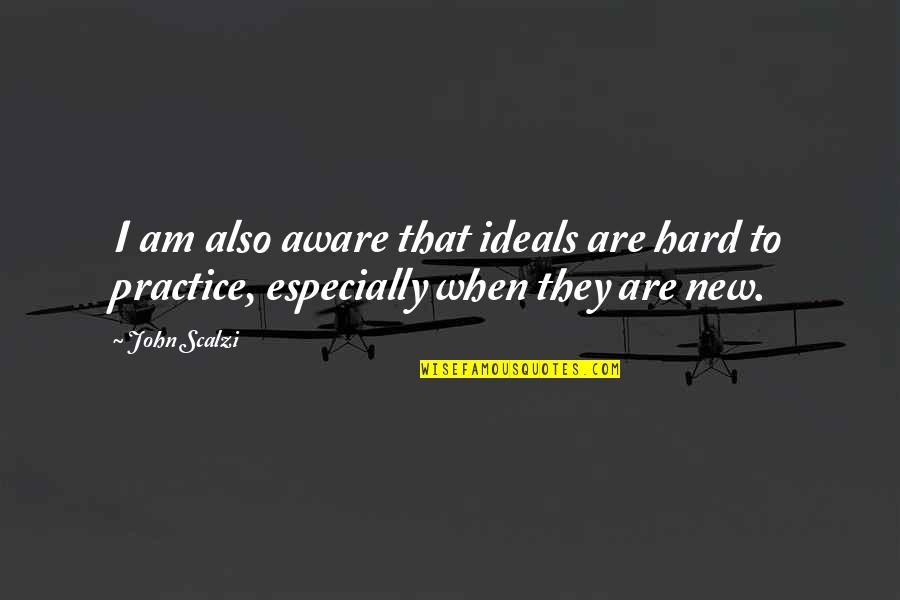 Losing Your Best Friend In A Car Accident Quotes By John Scalzi: I am also aware that ideals are hard
