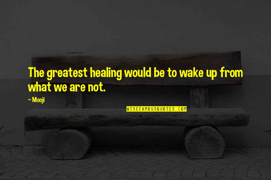 Loss Good Reads Quotes By Mooji: The greatest healing would be to wake up