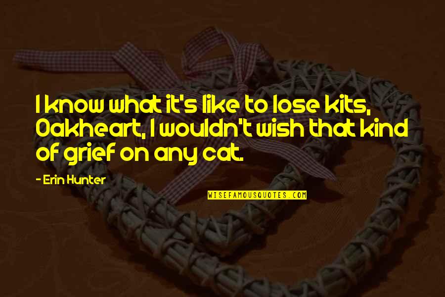 Loss Of Child Quotes By Erin Hunter: I know what it's like to lose kits, Loss Of Child Quotes By Erin Hunter: I know what it's like to lose kits,